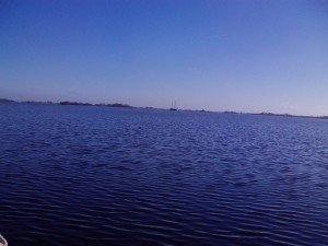 IMG_0373