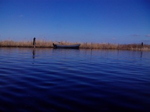 IMG_0385