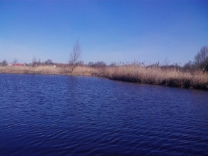 IMG_0460