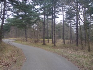 IMG_1372