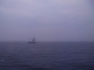 IMG_1545