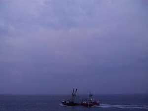 IMG_1557