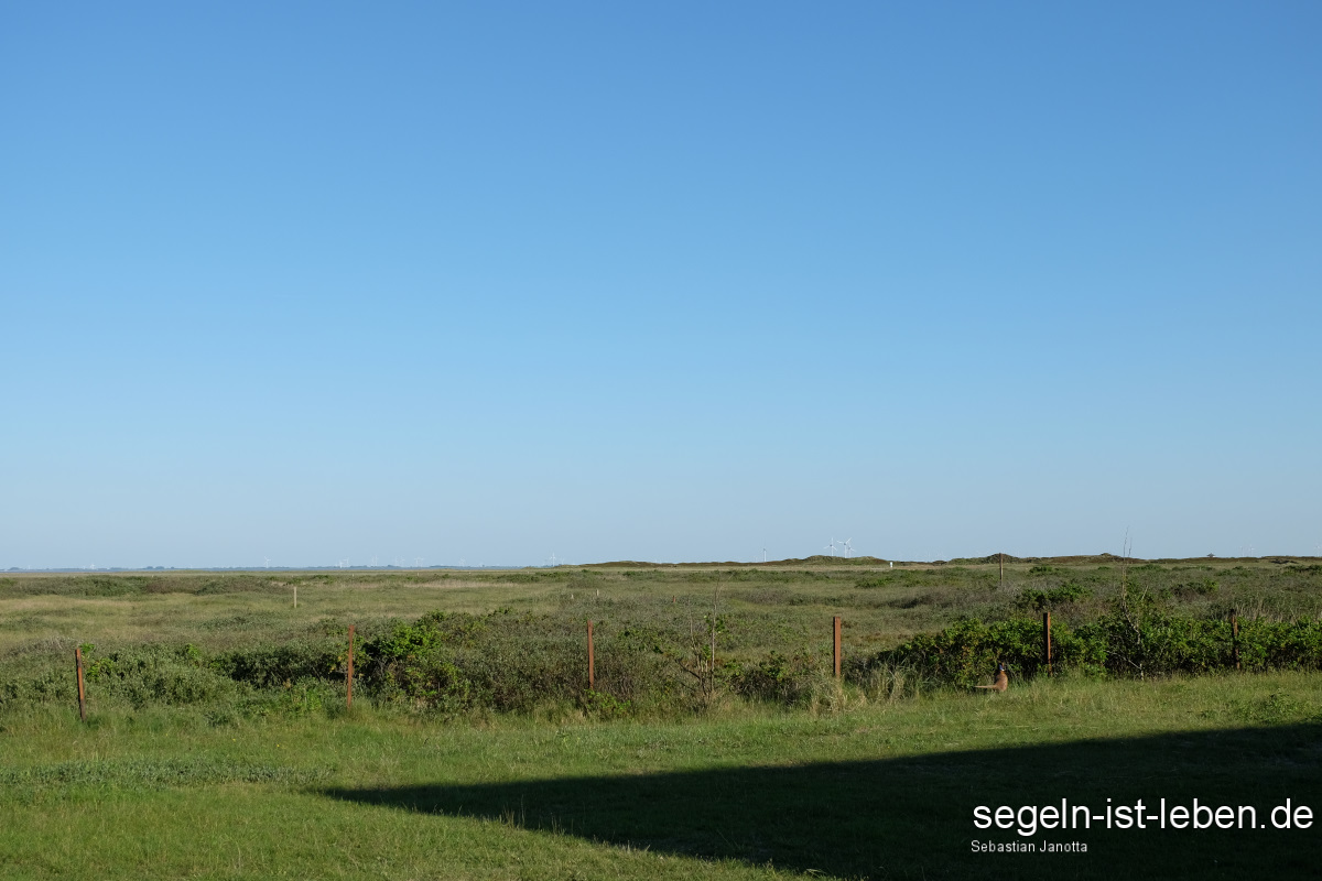 Spiekeroog Grün Insel